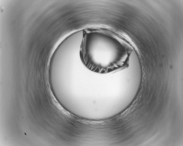 X0000087681140200705251637