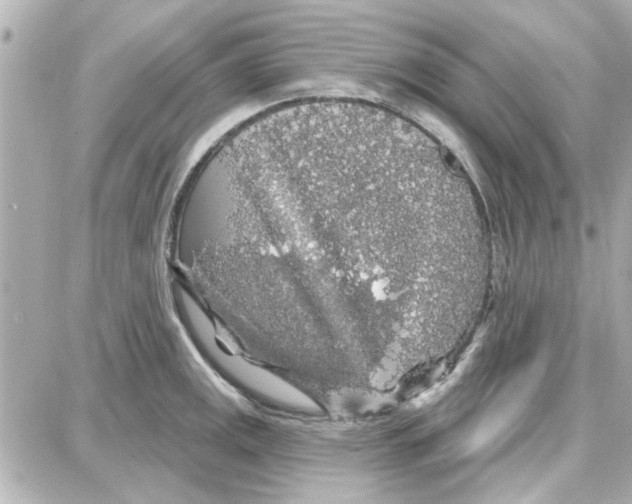 X0000087681141200705251637