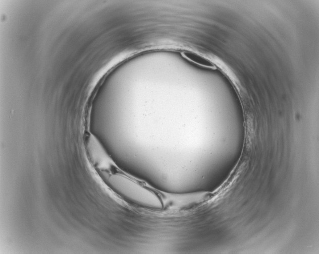 X0000087681142200705251637