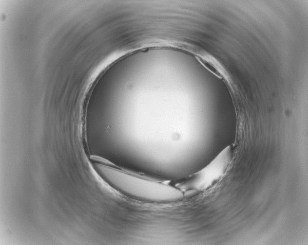 X0000087681143200705251637