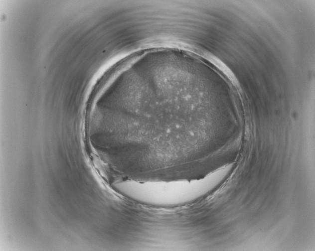 X0000087681144200705251637