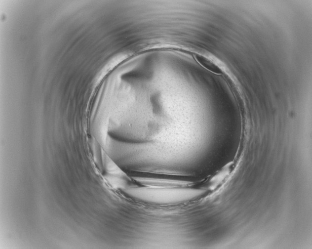 X0000087681145200705251637