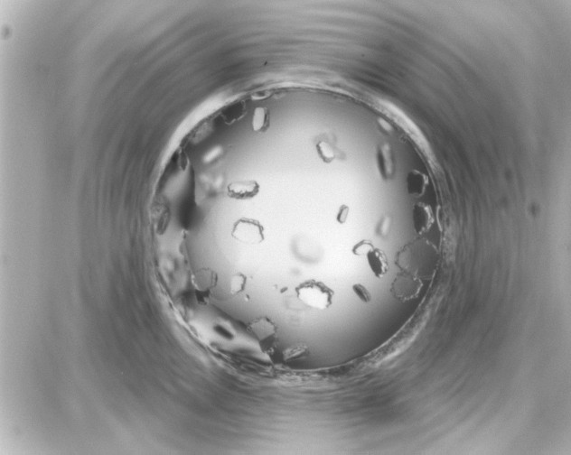 X0000087681146200705251637