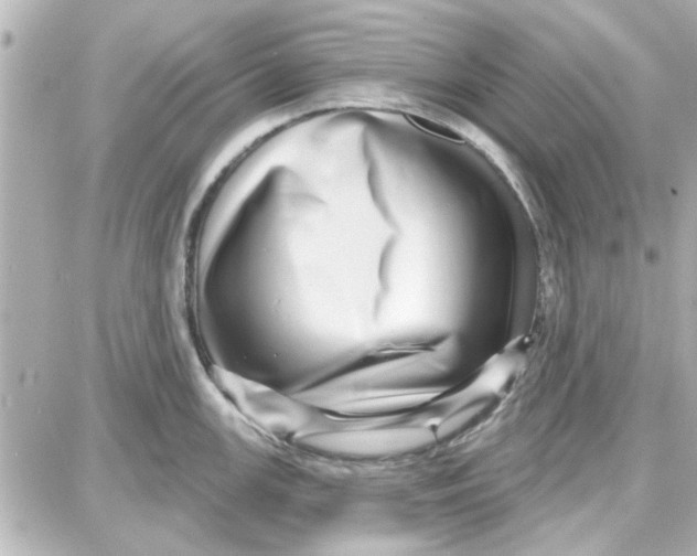 X0000087681147200705251637