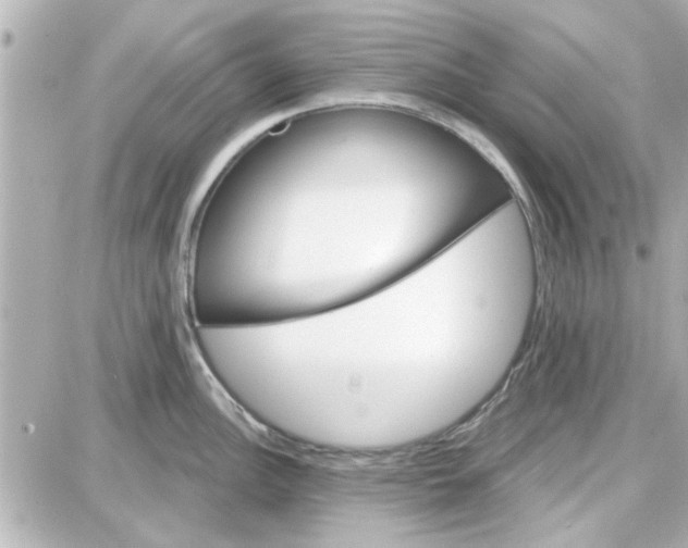 X0000087681148200705251637