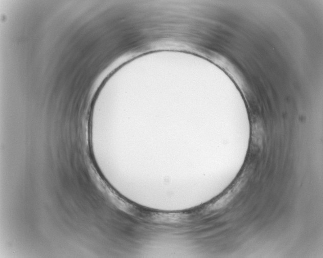 X0000087681150200705251637