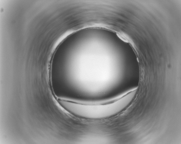 X0000087681151200705251637