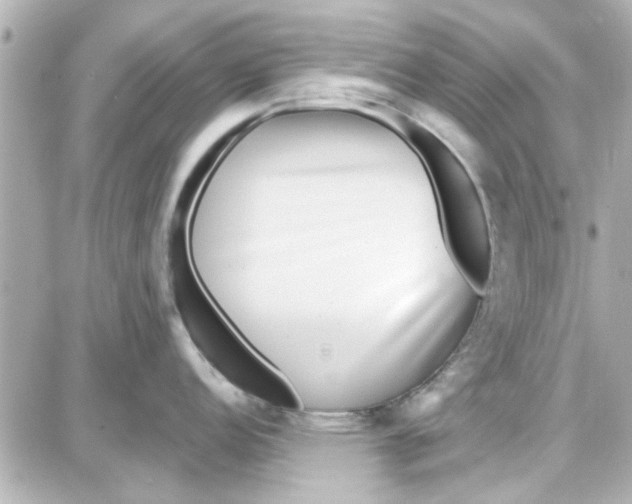 X0000087681152200705251637