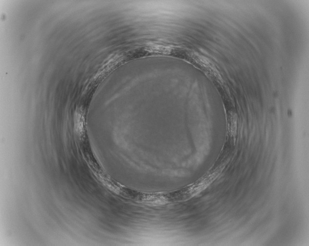 X0000087681154200705251637