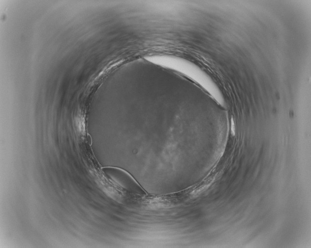 X0000087681155200705251637