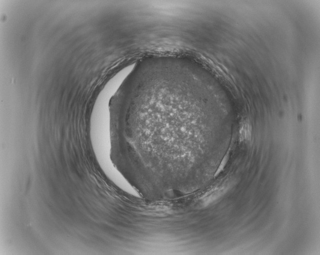 X0000087681156200705251637