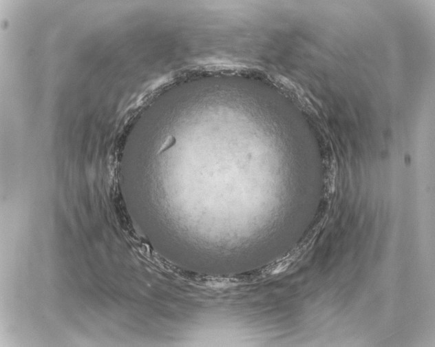 X0000087681157200705251636