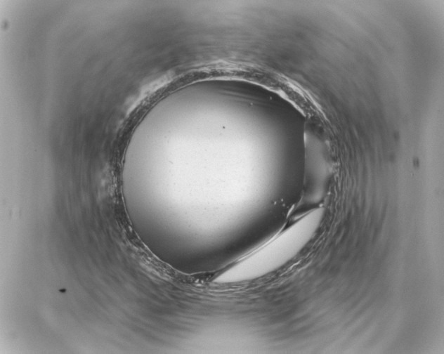 X0000087681160200705251636