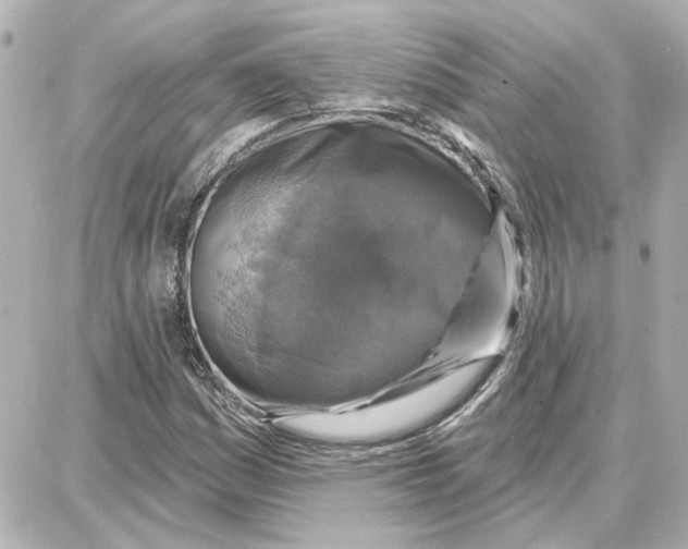 X0000087681161200705251636