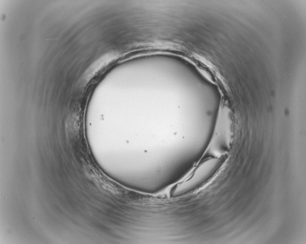 X0000087681163200705251636