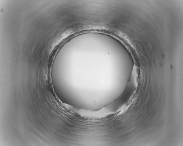 X0000087681165200705251636