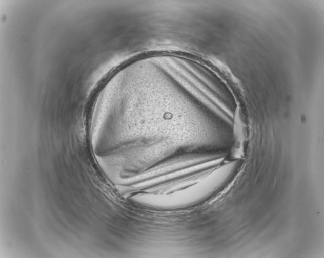 X0000087681167200705251636