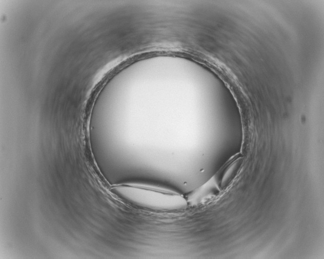 X0000087681168200705251636