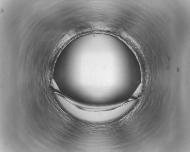 X0000087681169200705251636