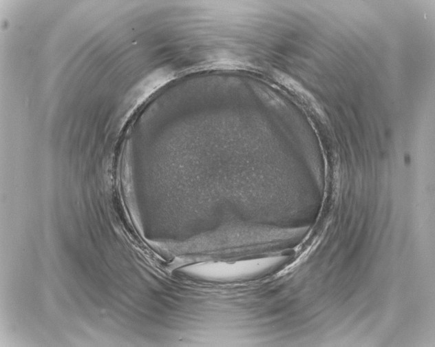 X0000087681170200705251636