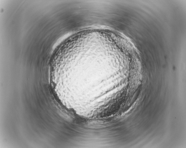 X0000087681171200705251636