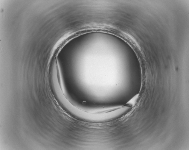 X0000087681172200705251636