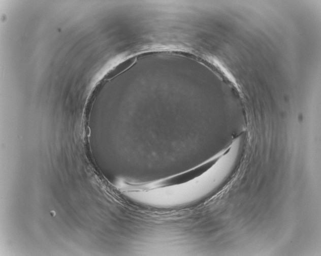 X0000087681173200705251636