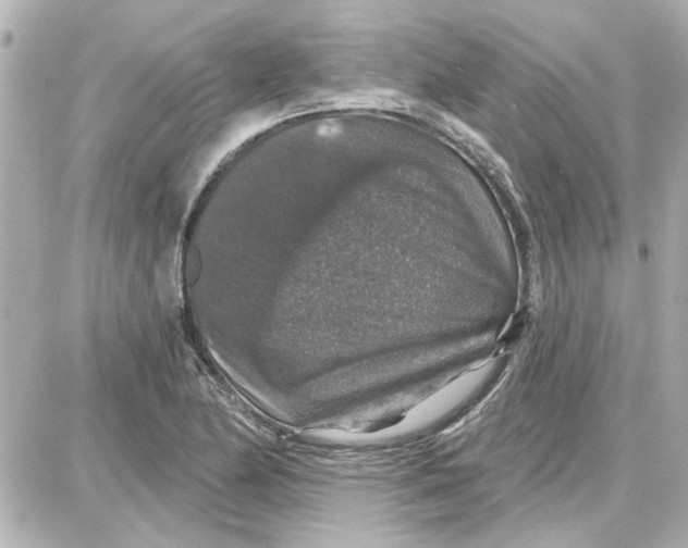 X0000087681174200705251636