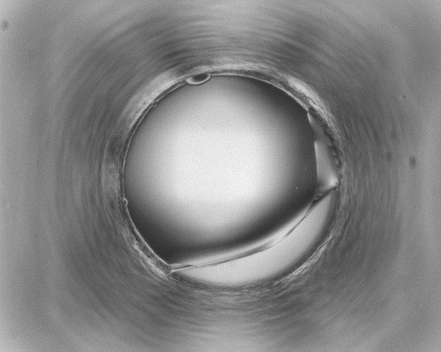 X0000087681177200705251636