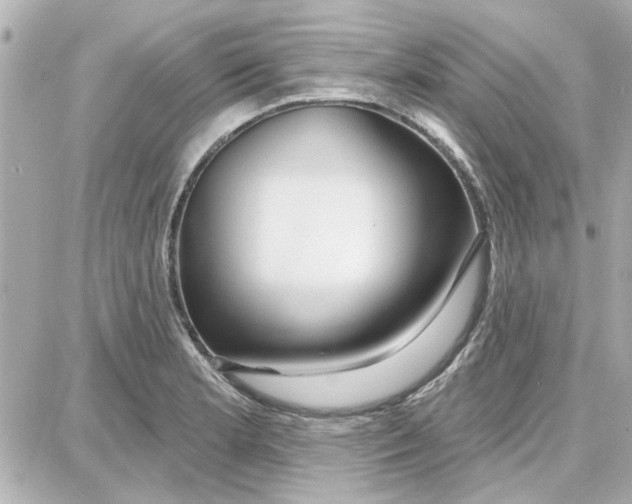 X0000087681181200705251636