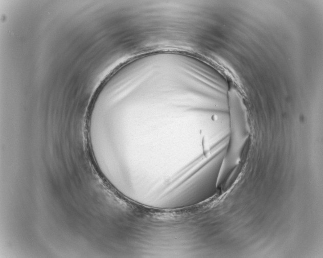 X0000087681182200705251636