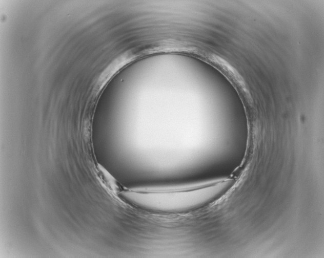 X0000087681185200705251636