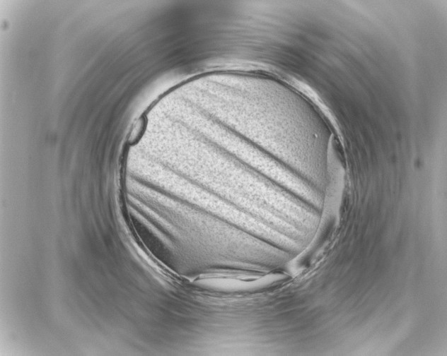 X0000087681187200705251636