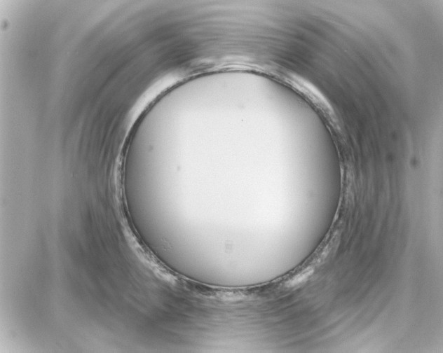 X0000087681190200705251636