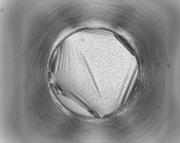 X0000087681191200705251636