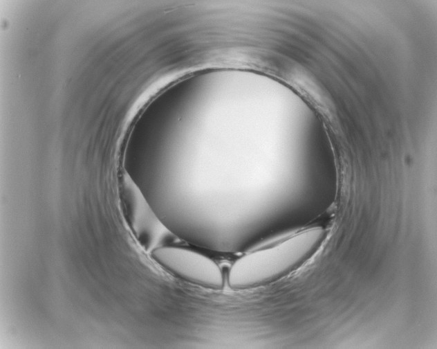 X0000087681192200705251636