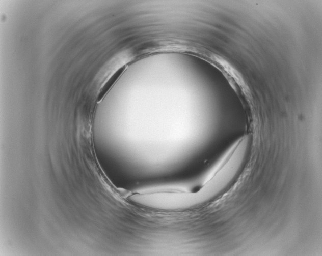 X0000087681193200705251636