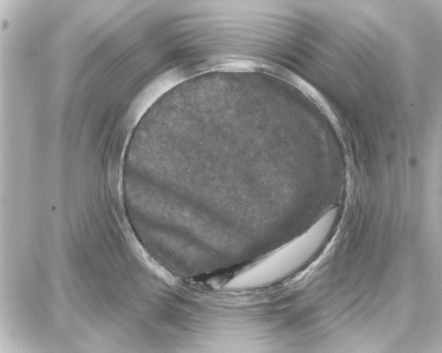 X0000087681194200705251636