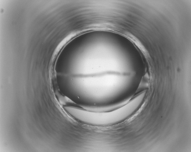 X0000087681196200705251636