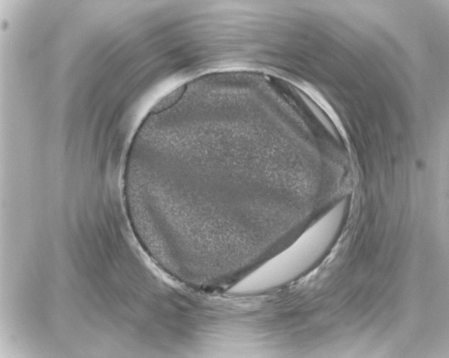 X0000087681197200705251636