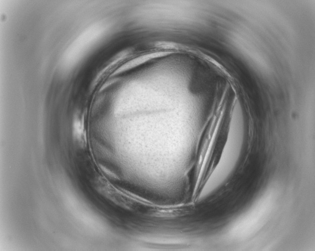 X0000087681198200705251636