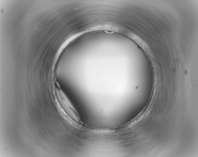 X0000087681200200705251636