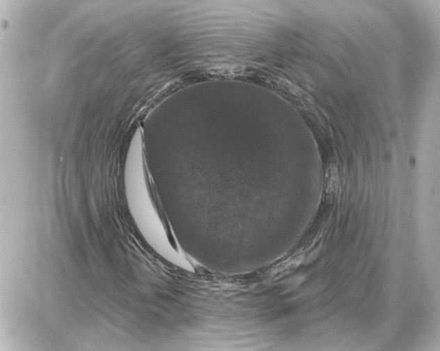 X0000087681202200705251635