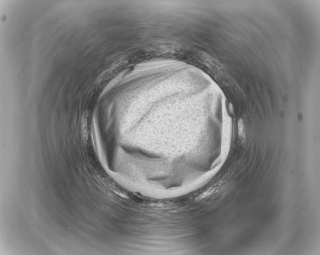 X0000087681203200705251635