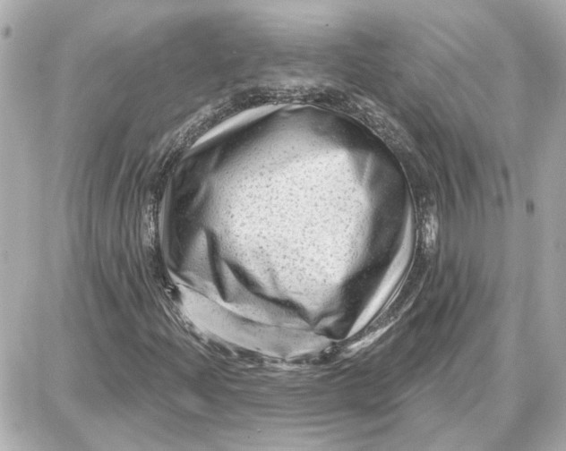 X0000087681204200705251635