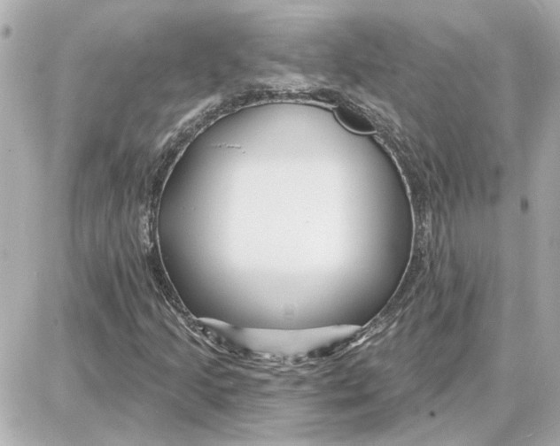 X0000087681205200705251635