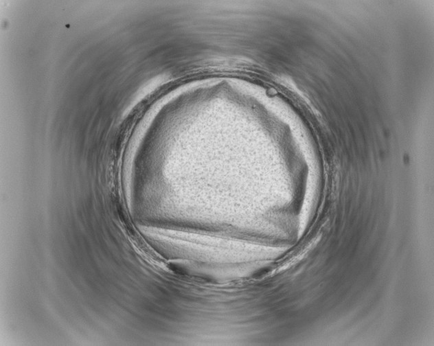 X0000087681211200705251635