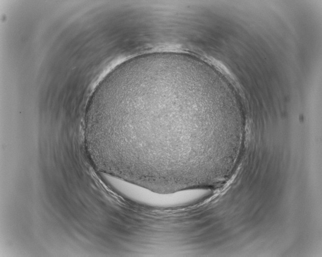 X0000087681212200705251635