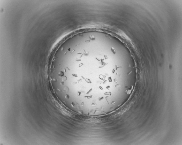 X0000087681216200705251635