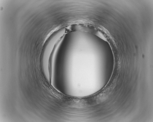 X0000087681218200705251635